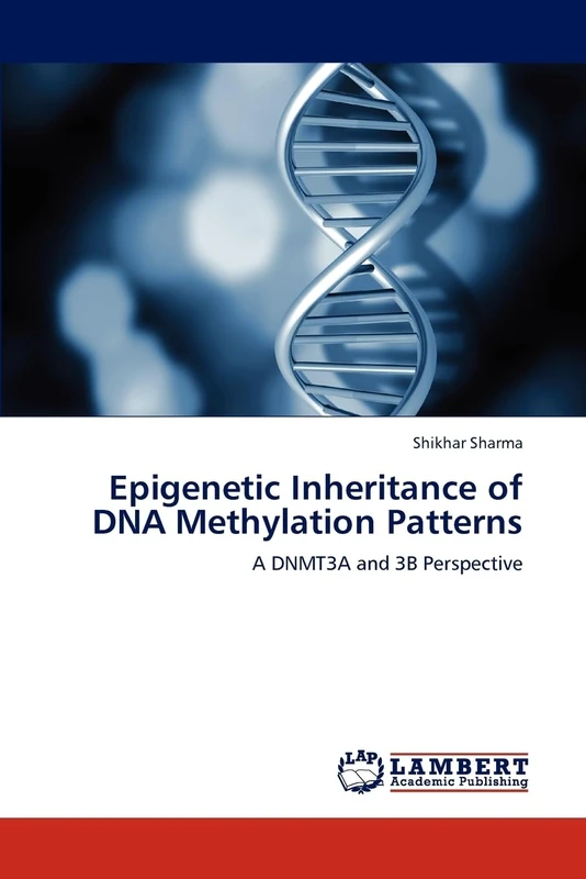 Epigenetic Inheritance of DNA Methylation Patterns: A DNMT3A and 3B Perspective