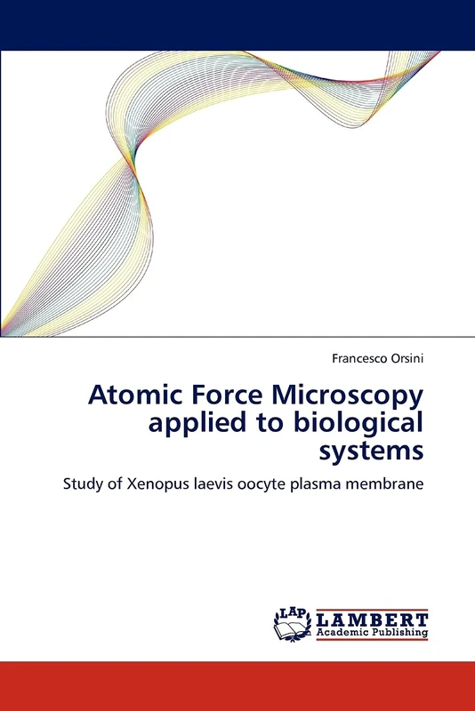 Atomic Force Microscopy applied to biological systems: Study of Xenopus laevis oocyte plasma membrane