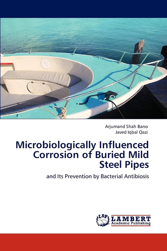 Microbiologically Influenced Corrosion of Buried Mild Steel Pipes: and Its Prevention by Bacterial Antibiosis