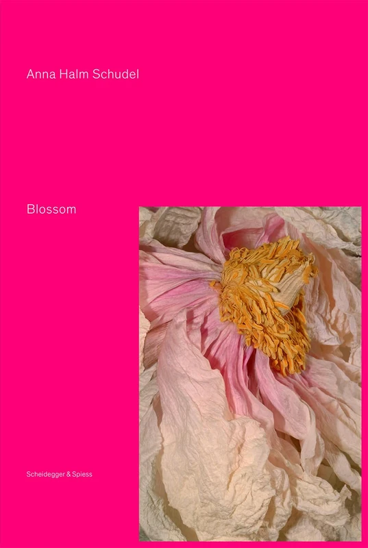 Blossom: Blumenstücke