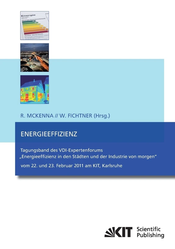 Energieeffizienz: Tagungsband des VDI-Expertenforums "Energieeffizienz in den Städten und der Industrie von Morgen" vom 22. und 23. Februar 2011 am Kit, Karlsruhe - Image 1