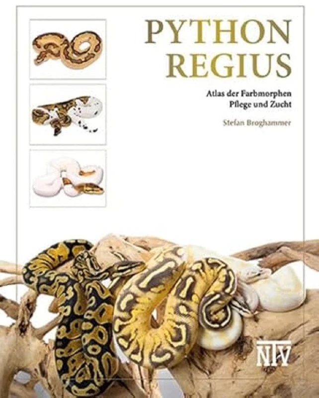 Python regius: Atlas der Farbmorphen