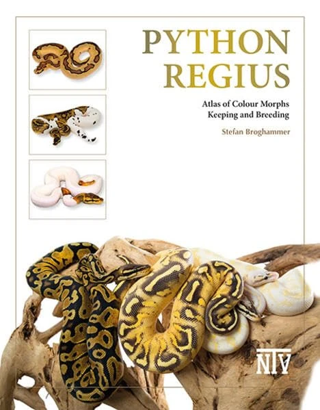 Python regius: Atlas of Colour Morphs, Keeping and Breeding - Image 1