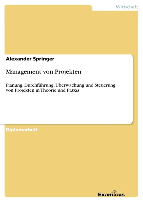 Management von Projekten: Planung, Durchführung, Überwachung und Steuerung von Projekten in Theorie und Praxis