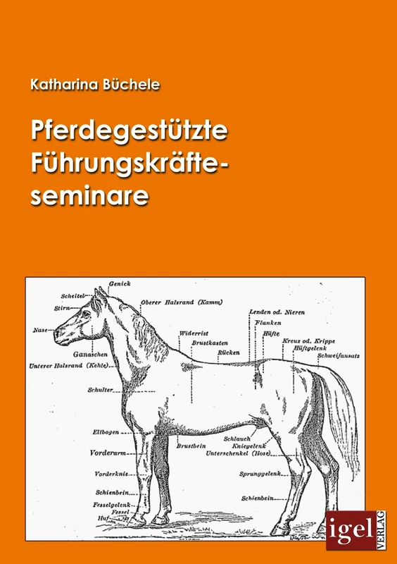 Pferdegestützte Führungskräfteseminare - Image 1
