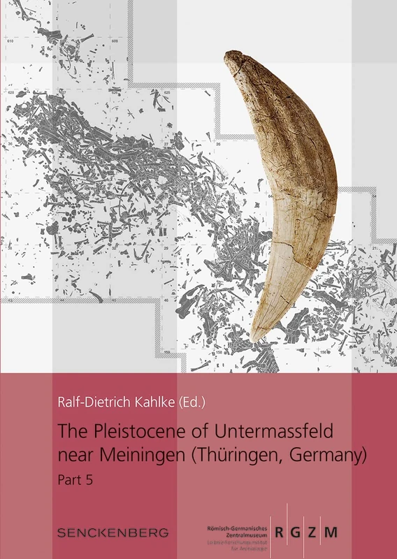 The Pleistocene of Untermassfeld near Meiningen (Thüringen, Germany): Part 5 (RGZM/LEIZA - Monographien, 40, 5)