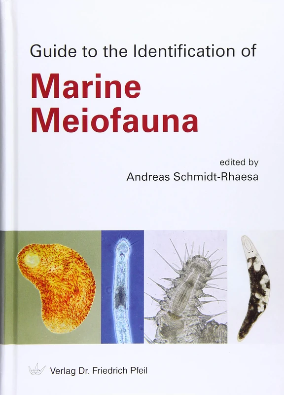 Guide to the Identification of Marine Meiofauna