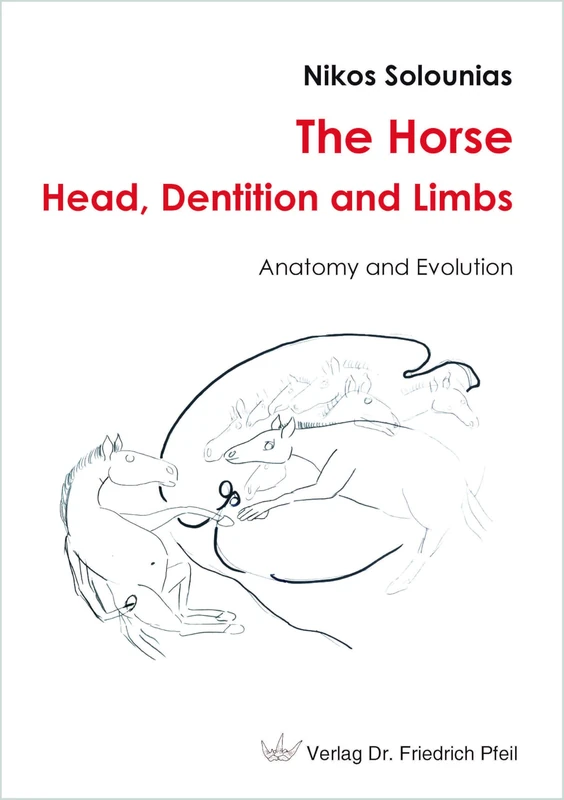 The Horse - Head, Dentition and Limbs: Anatomy and Evolution - Image 1