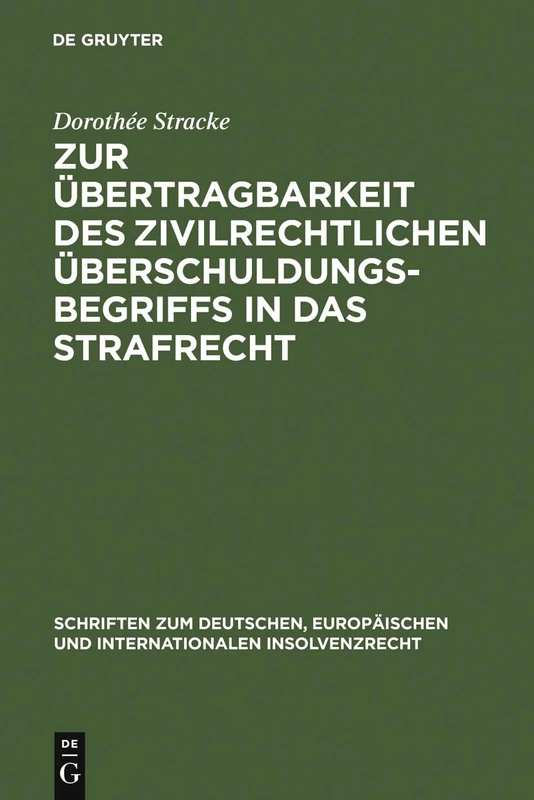 Zur Übertragbarkeit Des Zivilrechtlichen Überschuldungsbegriffs in Das Strafrecht: 8 (Schriften Zum Deutschen, Europäischen Und Internationalen In)