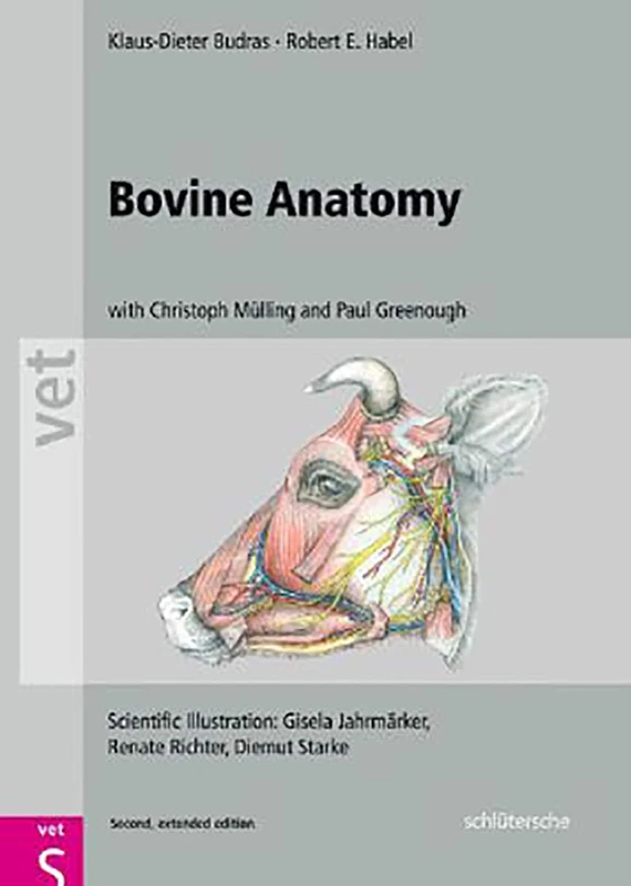 Bovine Anatomy: An Illustrated Text, Second Edition