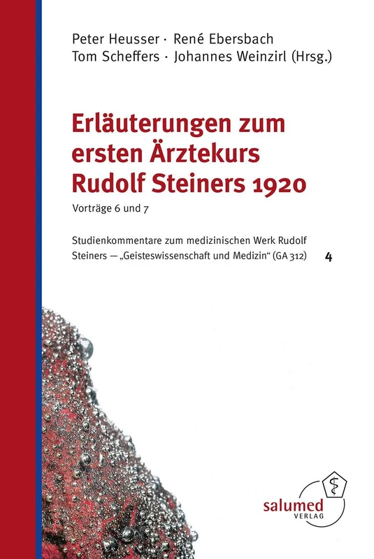 Erläuterungen zum ersten Ärztekurs Rudolf Steiners 1920 - Vorträge 6 und 7: Studienkommentare zum medizinischen Werk Rudolf Steiners - "Geisteswissenschaft und Medizin" (GA 312) 4 - Image 1