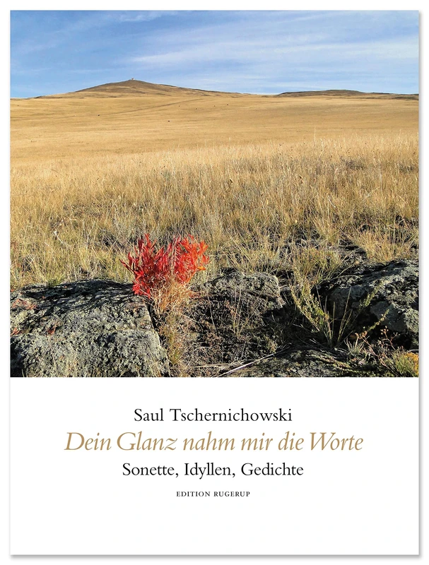 Dein Glanz nahm mir die Worte: Alle drei Bände im Set - Image 1