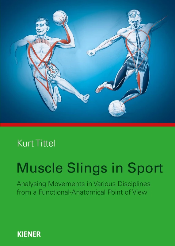 Muscle Slings in Sport: Analysing Movements in Various Disciplines from a Functional-Anatomical Point of View