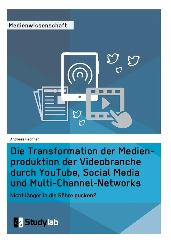 Die Transformation der Medienproduktion der Videobranche durch YouTube, Social Media und Multi-Channel-Networks: Nicht länger in die Röhre gucken?