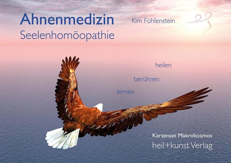 Ahnenmedizin und Seelenhomöopathie: Kartenset Makrokosmos. 108 Karten mit Begleitbuch