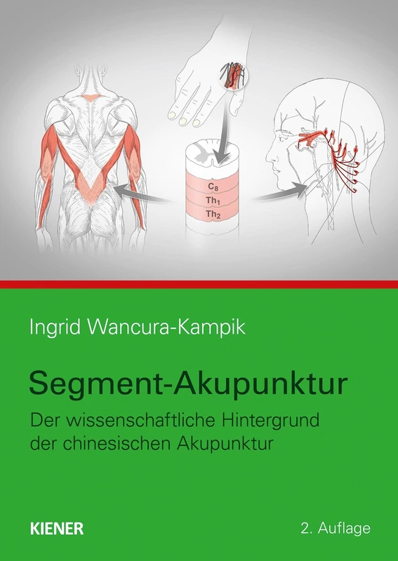 Segment-Akupunktur: Der wissenschaftliche Hintergrund der chinesischen Akupunktur - Image 1