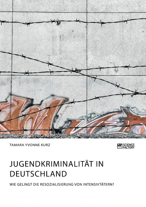 Jugendkriminalität in Deutschland. Wie gelingt die Resozialisierung von Intensivtätern? - Image 1