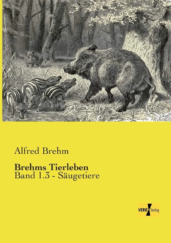 Brehms Tierleben: Band 1.3 - Säugetiere