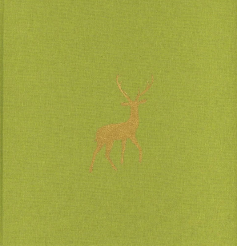 Paola De Pietri: Istanbul New Stories