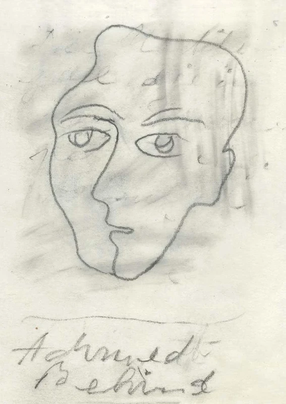 Hans/Jean Arp: Twenty Sketchbooks: Limited edition of 1,000 boxed sets