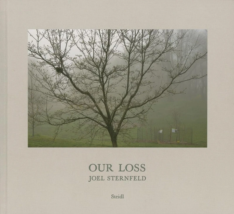 Joel Sternfeld: Our Loss