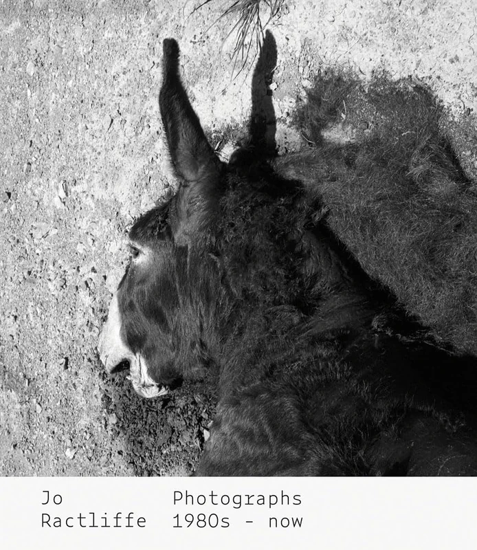 Jo Ractliffe: Photographs 1980s – now