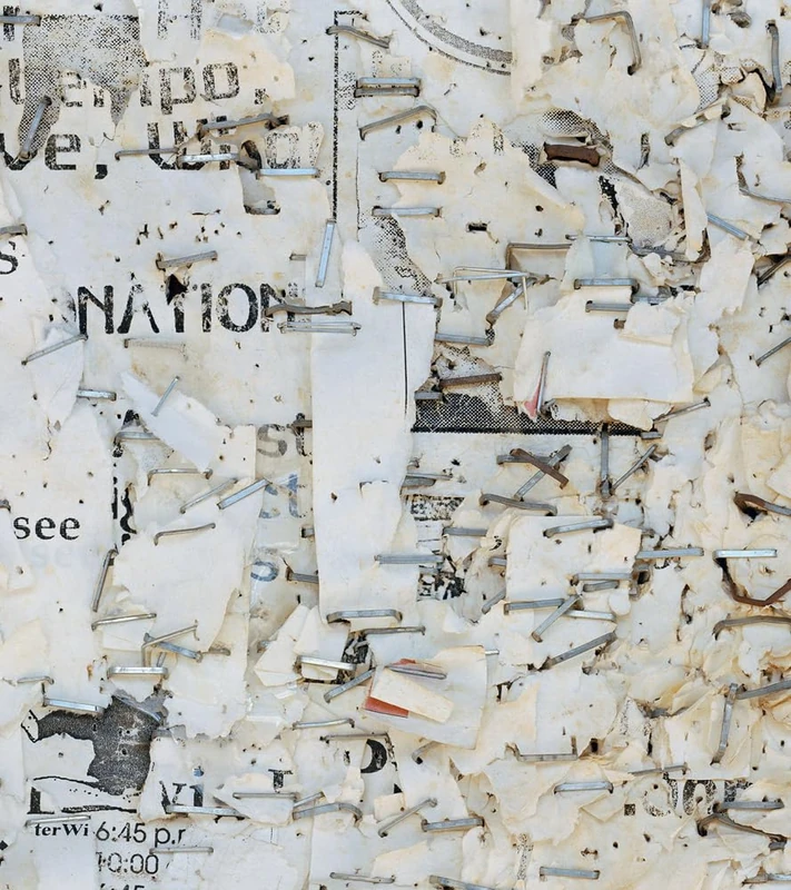 Mitch Epstein: Property Rights - Image 1