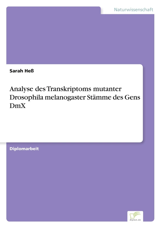 Analyse des Transkriptoms mutanter Drosophila melanogaster Stämme des Gens DmX - Image 1