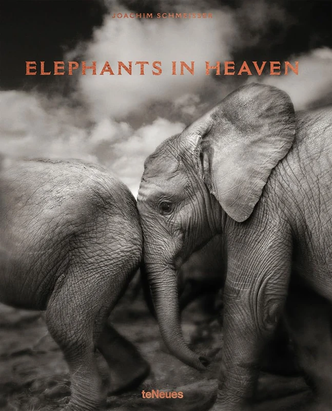 Elephants in Heaven: Joachim Schmeisser