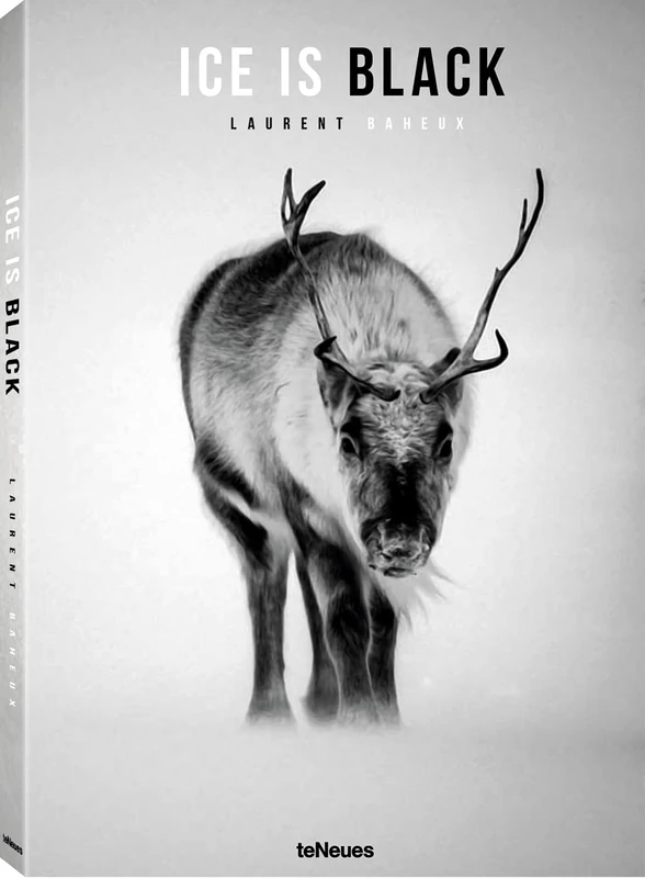 Ice is Black: Laurent Baheux