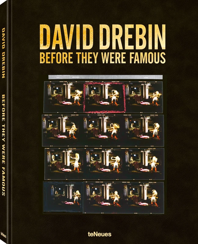Before They Were Famous: David Drebin