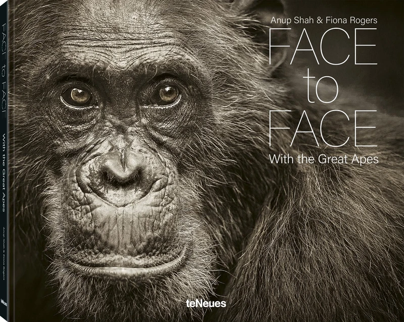 Face to Face: With the Great Apes