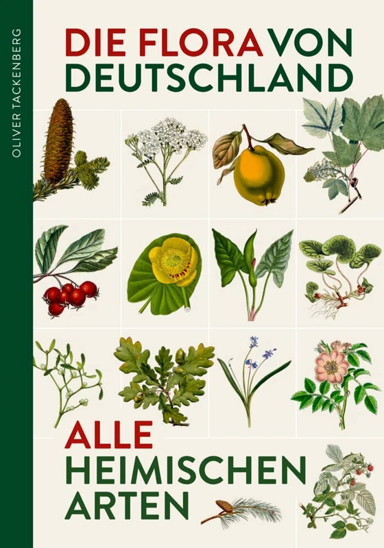 Die Flora von Deutschland. Alle heimischen Arten: Über 2.500 Pflanzen. Mit Bestimmungsschlüssel. - Image 1