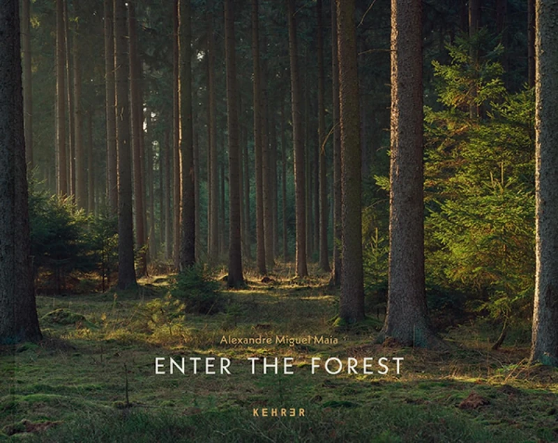 Enter the Forest: Alexandre Miguel Maia