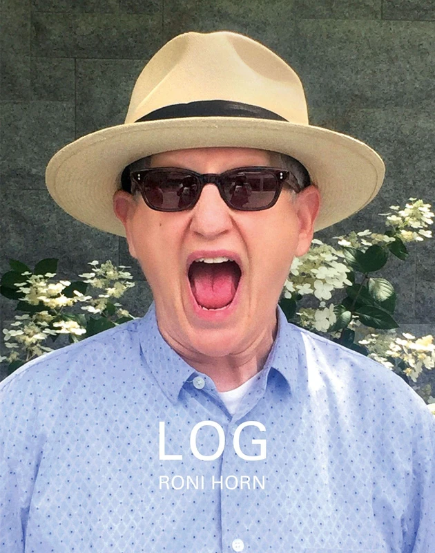 Steidl Roni Horn: LOG (March 22, 2019-May 17, 2020) Art Book