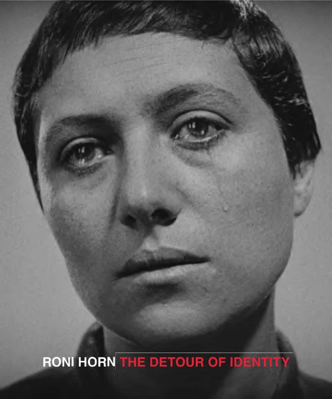 Roni Horn: The Detour of Identity - Image 1