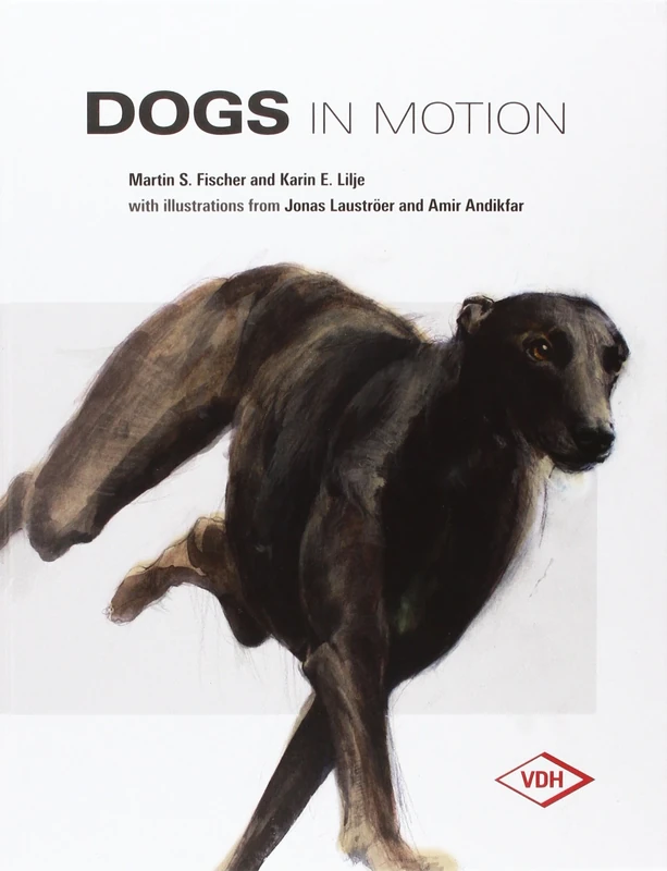 Dogs in Motion - Image 1