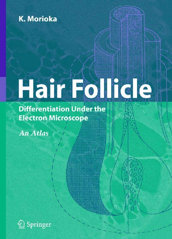 Hair Follicle: Differentiation under the Electron Microscope - An Atlas
