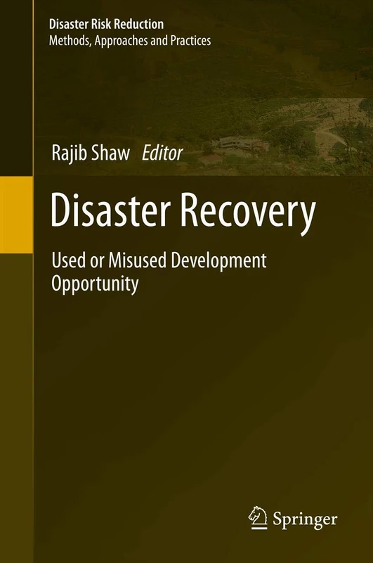 Springer - Disaster Recovery: Used or Misused Development Opportunity
