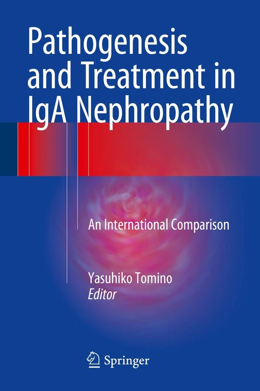 Pathogenesis and Treatment in IgA Nephropathy: An International Comparison