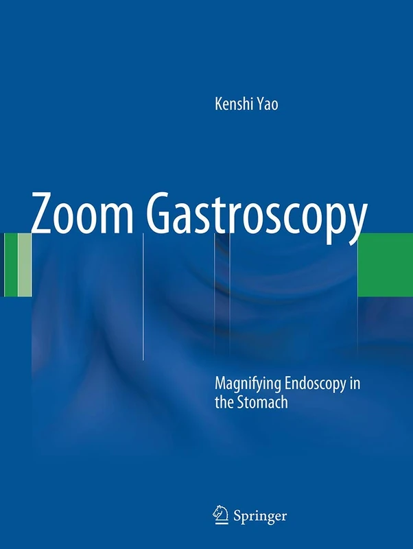 Zoom Gastroscopy: Magnifying Endoscopy in the Stomach