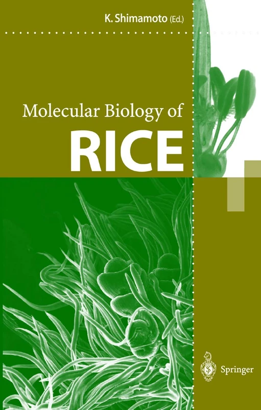 Springer - Molecular Biology of Rice - Science Reference Book