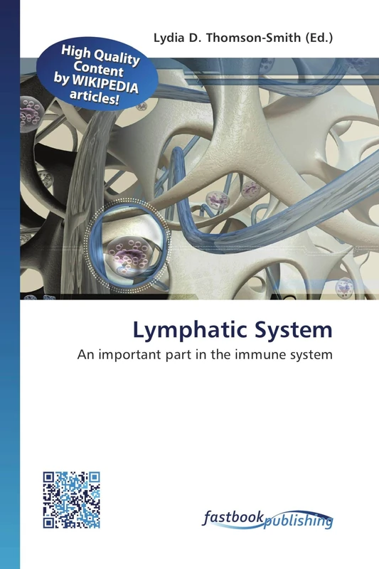 Lymphatic System: An important part in the immune system - Image 1
