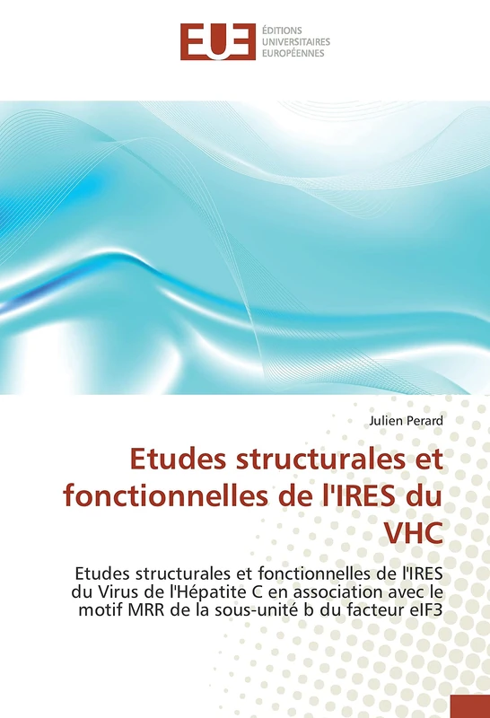 Etudes structurales et fonctionnelles de l'IRES du VHC: Etudes structurales et fonctionnelles de l'IRES du Virus de l'Hépatite C en association avec le motif MRR de la sous-unité b du facteur eIF3 - Image 1