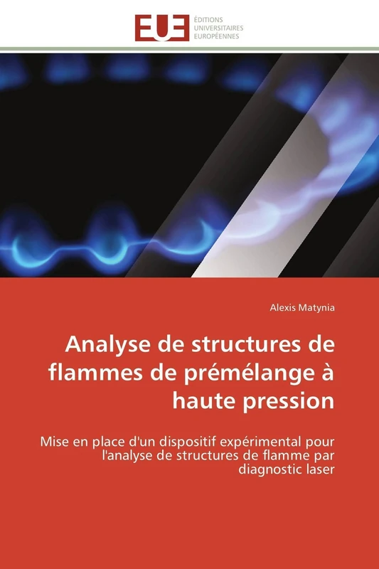 Analyse de structures de flammes de prémélange à haute pression: Mise en place d'un dispositif expérimental pour l'analyse de structures de flamme par diagnostic laser (Omn.Univ.Europ.) - Image 1
