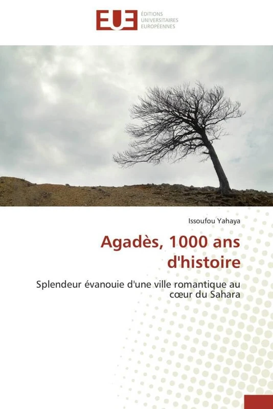 Agadès, 1000 ans d'histoire: Splendeur évanouie d'une ville romantique au cœur du Sahara (Omn.Univ.Europ.)