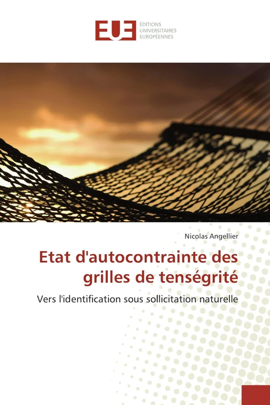 Etat d''autocontrainte des grilles de tenségrité: Vers l''identification sous sollicitation naturelle - Image 1