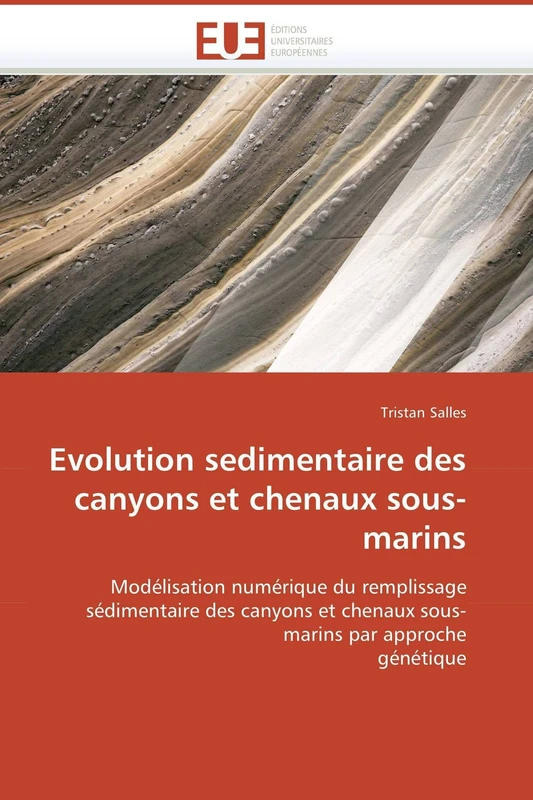 Evolution sedimentaire des canyons et chenaux sous-marins: Modélisation numérique du remplissage sédimentaire des canyons et chenaux sous-marins par approche génétique (Omn.Univ.Europ.)