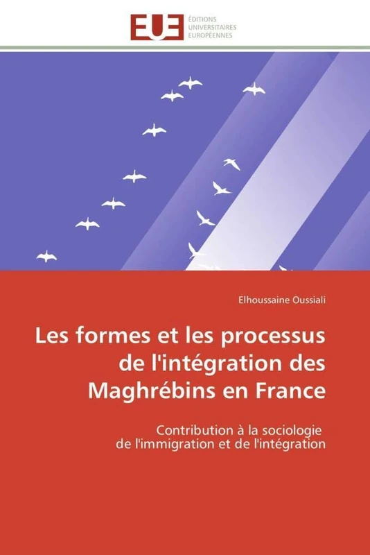 Les formes et les processus de l'intégration des Maghrébins en France: Contribution à la sociologie de l'immigration et de l'intégration (Omn.Univ.Europ.)
