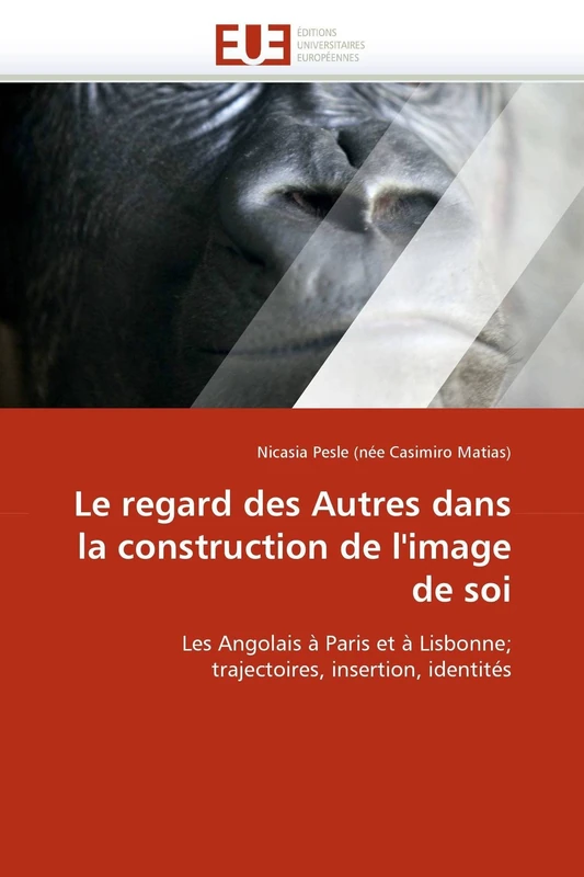 Le regard des Autres dans la construction de l'image de soi: Les Angolais à Paris et à Lisbonne; trajectoires, insertion, identités (Omn.Univ.Europ.)
